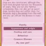 Pet Adoption Center (USA) (En,Fr,De,Nl)