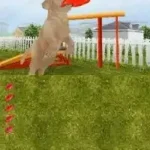 Petz - Dogz Talent Show (USA) (En,Fr,De,Es,It)