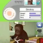 Petz - Monkeyz House (USA) (En,Fr,De,Es,It,Nl,Sv,No,Da)
