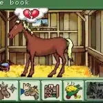 Pferd & Pony - Mein Pferdehof (E)(Rising Sun)