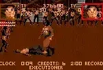 Pit Fighter - The Ultimate Competition (USA, Europe)