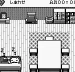 Pocket Family (Japan)