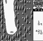 Pocket Golf (Japan)