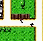 Pocket Lure Boy (Japan)