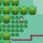 Pokemon Emerald Rebirth Reborn