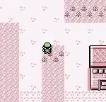 Pokemon Red Gender Selection