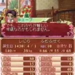 Princess Maker 4 - Special Edition (Japan)