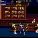 Punisher, The (Europe)