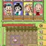 Puzzle de Harvest Moon (USA)