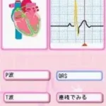 Raku Raku Shindenzu Training DS (Japan) (Rev 1)