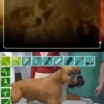 Real Adventures - Pet Vet (Europe) (En,Nl,Sv,No,Da)