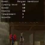 Real Adventures - Wild Horses - The Quest for the Golden Horse (Europe) (En,Fr,De,Es,It)