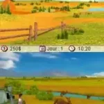 Real Stories - Veterinaire - Mission Australie (France)