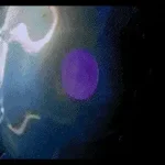 Revenge of the Ninja