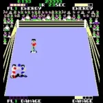 Ring Fighter (set 1)