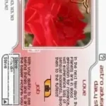 Russel Grant's Astrology (Europe) (En,Fr,De,Es,It)