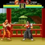 Ryuuko no Ken (Japan)