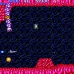 Salamander (version D)