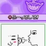 Sawaru Made in Wario (Japan)