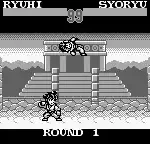 SD Hiryuu no Ken Gaiden 2 (Japan)