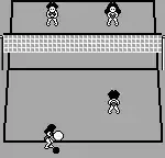 Seaside Volley (Japan)