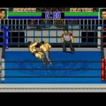 Shin Nihon Pro Wresling Kounin - '94 Battlefield in Tokyo Dome (Japan)