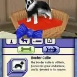 Sims 2, The - Pets (Europe) (En,Fr,De,Es,It,Nl)