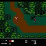 Snake's Revenge (USA)