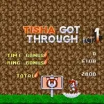 Sonic 1 - Tisha Project