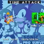 Sonic 3 & Knuckles - Pro Survivor