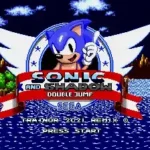 Sonic & Shadow Double Jump Remix