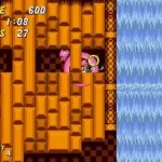Sonic the Hedgehog 2 Pink Edition