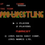 Special Tag Team Pro Wrestling (Japan)