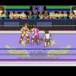 Stardust Suplex (Japan)