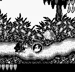 Super Donkey Kong GB (Japan)