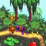 Super Donkey Kong (J)(Rising Sun)