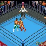 Super Fire Pro Wrestling X (Japan)