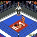 Super Fire Pro Wrestling X Premium (Japan)