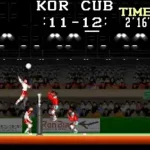 Super Volleyball (Korea)