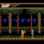 Sword Master (Japan)