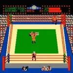 Tag Team Wrestling (USA)