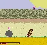 Taz-Mania - The Search for the Lost Seabirds (USA, Europe)