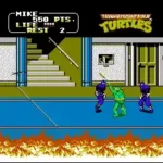 Teenage Mutant Ninja Turtles (Japan)