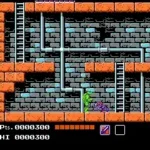 Teenage Mutant Ninja Turtles (USA)