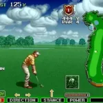 The Irem Skins Game (US set 2)