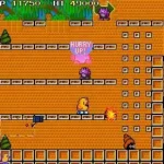 The NewZealand Story (World, newer)