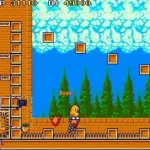 The NewZealand Story (World, prototype?) (older PCB)