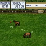 Thoroughbred Breeder II (Japan)