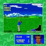Top Pro Golf (Japan)