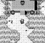 Tsuri Sensei (Japan)